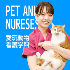 愛玩動物看護学科