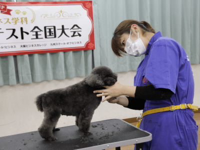 トリミング ペット接客 しつけ相談コンテスト 全国大会