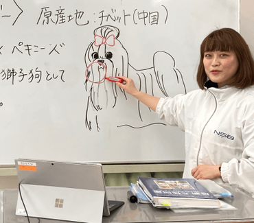 犬種学