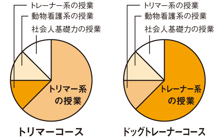 各コースの基礎学習