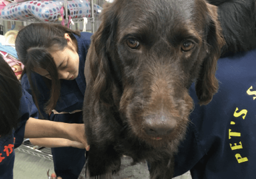 名古屋市動物愛護センター