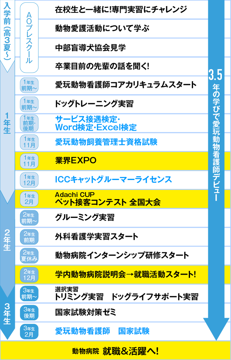 NSBだからできる学びの数々