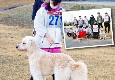 日本警察犬協会訓練競技会